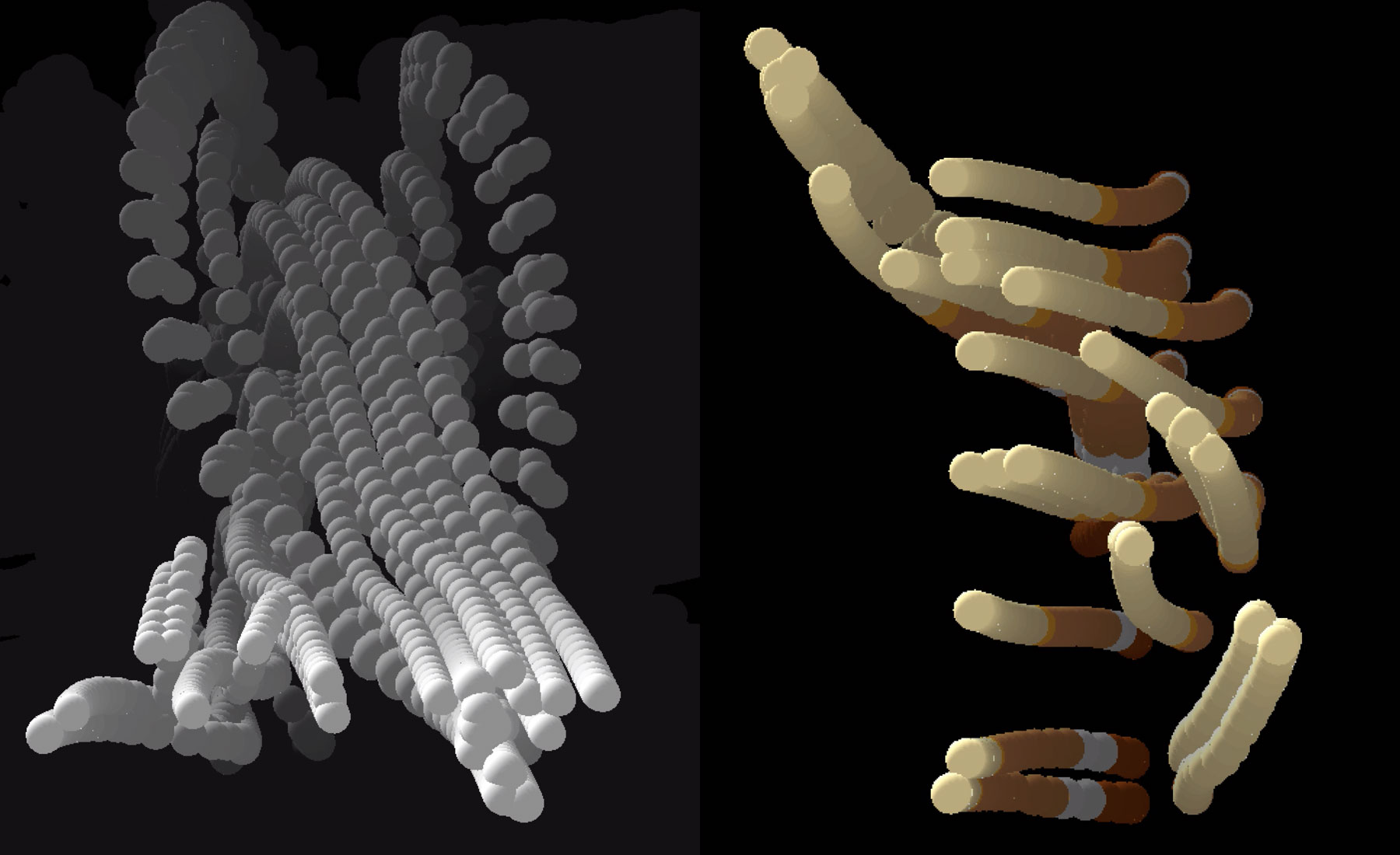 motion capture images